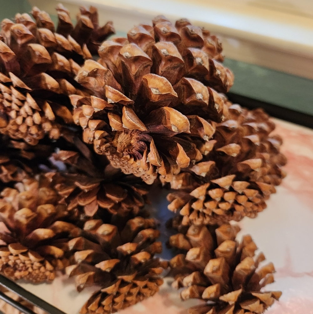 12 CLEAN Pinecones, Oven Dried, Crafts, Decor, DIY, Natural, Woodsy